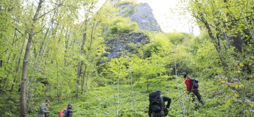 Archeologický výskum pri „výpadovej bránke“ a prieskum svahov Oravského hradu