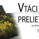 vtáci-prelietaví-banner